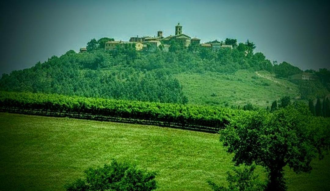 B&B Terramare Montiano  Luaran gambar